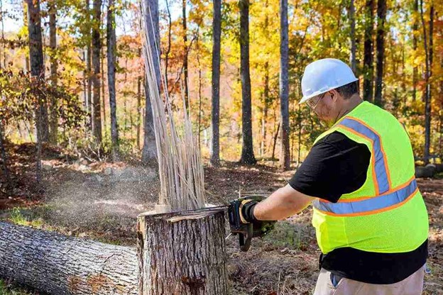 Professional tree service worker wearing safety gear cutting through a large tree trunk with a chainsaw during tree removal in a wooded residential area