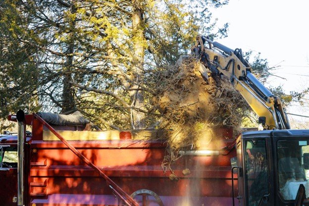 Tree removal crew lowering large tree sections near a home using ropes and rigging.