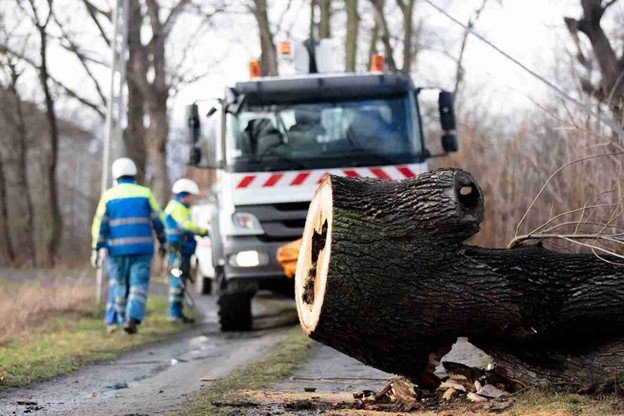 Emergency tree removal crew clearing a fallen tree from a roadside after storm damage