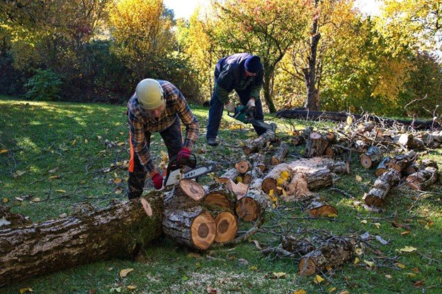 Tree debris cleanup after storm damage on a residential property
